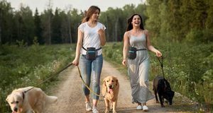 Bolsa Multifuncional Impermeable para Pasear Perros, Organizador de Cintura, Bolsa para Premios y Entrenamiento, Fácil de Llevar - Product Image 2