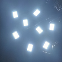 Feux de roche à haute luminosité, 24 LED, 6000K blanc, indice d'étanchéité IP67, compatibles avec les voitures et camions universels, à installer sous le châssis