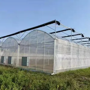专业制造商中国气候控制聚膜太阳能电池板农业温室