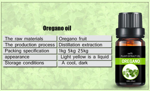 Huile Essentielle Pure Premium d'<span class=keywords><strong>Origan</strong></span> 65% Carvacrol Certifiée ISO9001 Parfum Frais Distillée à la Vapeur pour Diffuseur d'Aromathérapie - Product Image 4