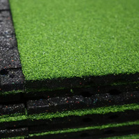 Tapis de protection de pelouse, gymnase, fitness, gazon artificiel élastique + granulés de caoutchouc, haute densité, écologique, durable, absorbant les chocs