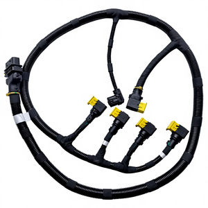 Harnais de convertisseur catalytique de haute qualité <span class=keywords><strong>EGP</strong></span> A067A034 C5511797 Convient au système d'échappement des moteurs <span class=keywords><strong>Euro</strong></span> 6 - Product Image 1