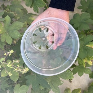Vente en gros de pots ronds transparents de 6 cm à 35 cm pour la culture de fleurs, pots d'orchidées, pots de pépinière, pots respirants pour la plantation, pots de culture de semis - Product Image 3