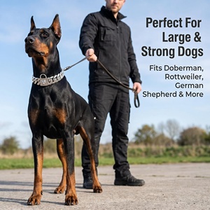 Collier de chien en acier inoxydable robuste de 32 mm, collier de compression en métal 316L indestructible pour grands chiens, <span class=keywords><strong>Pitbull</strong></span>, <span class=keywords><strong>Bully</strong></span>, vente en gros - Product Image 1