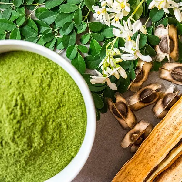 Bubuk Daun Moringa Digunakan untuk Tujuan Nutrisi