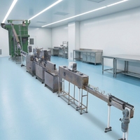 Productielijn voor het maken van fruitconfituur (kersen, perziken, bosbessen, aardbeien)