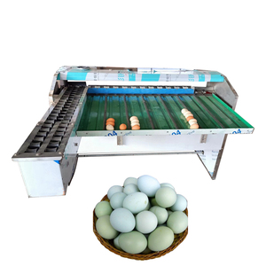 Egg Grading and Washing Machine Egg Sorter Machine Eggs Grader Sorted Machine - Product Image 4