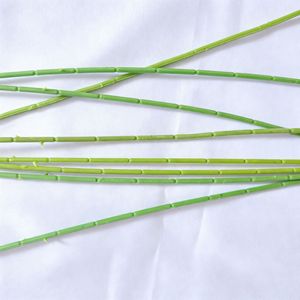 Tiges de roses artificielles, feuilles, tiges de fleurs en plastique, accessoires pour bouquets floraux DIY, 825-2, emballées individuellement - Product Image 4