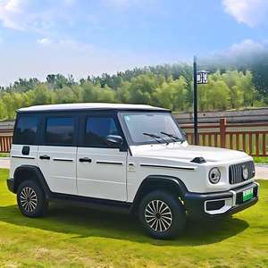 Vehículo Eléctrico de Baja Velocidad de 4 Ruedas, SUV Familiar Espacioso con Transmisión Automática para Uso Diario en la Ciudad y en el Hogar - Product Image 1