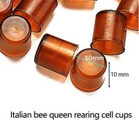 Nouveau kit d'élevage de reines d'abeilles, boîte d'apiculture en plastique avec outils et fournitures d'apiculture