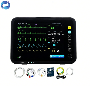 Moniteur de chevet Raytan pour chambre d'hôpital, dispositif médical vétérinaire pour surveillance obstétricale sur lit d'hôpital, certifié CE Classe II - Product Image 1