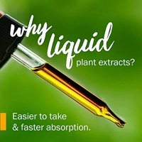 Aeglewell OEM Huile d'oreille végétalienne sans OGM et sans gluten à base de molène et d'ail pour adultes 30ml