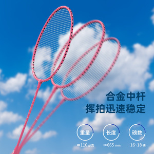 Deli Agnite Badminton Racquet FH101 Set With 3 Shuttles For Adults Students Children Outdoor Sports Training - Product Image 2