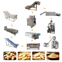Ligne de traitement du gingembre fournie par l'usine, machine de traitement du gingembre pour la transformation du gingembre