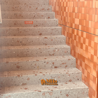 Panneaux de carreaux de terrazzo en ciment préfabriqué Jeu de marches et contremarche d'escalier