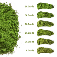 Poudre de Matcha en vrac à prix compétitif, qualité cérémonielle, thé vert Matcha