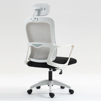Chaise de bureau exécutive moderne en plastique avec dossier ouvert, hauteur réglable et pivotante pour la maison, le bureau ou le salon