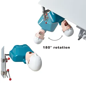 High Quality Manufacturer Dental Phantom Senior Manikin Head Dental Simulator