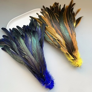 Plumas <span class=keywords><strong>de</strong></span> <span class=keywords><strong>Gallo</strong></span> Coloridas, Rectas <span class=keywords><strong>y</strong></span> Teñidas, <span class=keywords><strong>de</strong></span> 25-30 cm, Plumas <span class=keywords><strong>de</strong></span> Pollo para Decoración <span class=keywords><strong>de</strong></span> Cócteles, Accesorios <span class=keywords><strong>de</strong></span> Vestuario para Espectáculos - Product Image 1