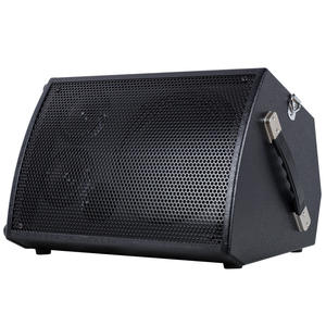 Amplificador de Guitarra Activo de 100W COEUARY Altavoz de 8 Pulgadas para Canto y Audio para Instrumentos, Transmisión en Vivo en la Calle al Aire Libre - Product Image 1