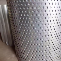La poudre décorative a enduit la feuille perforée en métal/a galvanisé les feuilles perforées de trou micro d'acier inoxydable pour des revêtements de construction