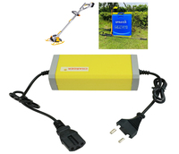 Tondeuse à gazon chargeur de batterie 12v/24v lifepo4 chargeur acide plomb chargeur de batterie 24v