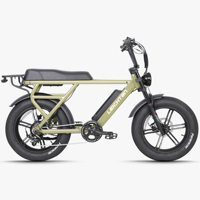 Fat Tire Electric Bike 20 Inch 750W 48V Retro Moped Style Ebike <strong>Adult</strong> Two Seater Suspension Off Road Electric Bicycle