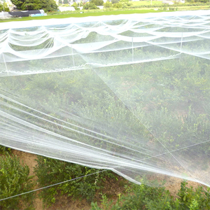 ตาข่ายกันแมลง50/ป้องกันแมลงกำจัดแมลง - Product Image 4