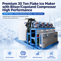 Machine à glace en flocons de qualité supérieure de 30 tonnes avec compresseur Copeland haute performance