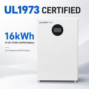Batería LiFePO4 Certificada UL1973 de 16 kWh, 51.2 V, 314 Ah, 8 kW, CAN RS485, IP65 para Sistemas de Almacenamiento de Energía (SAE) Residenciales y Comerciales - Product Image 1