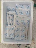 Kit de test ELISA de grossesse précoce pour ruminants, test de grossesse rapide pour bovins de haute précision, adapté aux échantillons de sang total