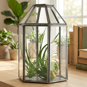Terrario Moderno de Vidrio, Forma Pentagonal, Contenedor para Plantas de Interior, Diseño Minimalista de Escritorio, Marco de Vidrio Transparente - Product Image 3