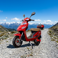 Moto Électrique Adulte Haute Qualité Longue Portée 50 km Scooter Électrique 48 V Trekking Homme Moteur Arrière Sans Permis