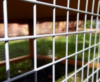 Poulaillers en bois supplémentaires pour cour, avec accès piétonnier