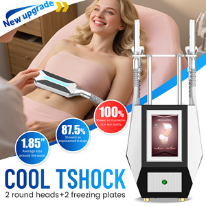 Máquina de congelación y estiramiento de la piel con 4 manijas de ABS Cryo Pad EMS con 2 placas Cryo portátil para uso doméstico y comercial - Product Image 4
