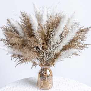 Bouquet de fleurs séchées d'herbe de la pampa - Petite herbe de la pampa et herbe de queue de lapin pour décoration de mariage, de remise de diplôme et de la maison - Product Image 2
