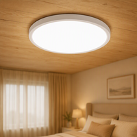 En stock, homologué ETL, panneau lumineux LED rond ultra fin de 12 pouces, luminaire LED à intensité variable 5CCT, plafonnier LED pour bureau, maison, commerce