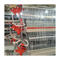 TBB nouvelles cages pour animaux en acier Cage de type A poulets oiseaux couche automatique poulailler batterie Cage poulet amateurs d'oiseaux go-to