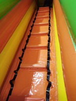 Château gonflable commercial à thème lion avec toboggan et mur d'escalade pour location de fêtes d'enfants