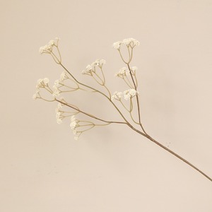 Handmade Mùa Thu Màu Dài Chi Nhánh Gypsophila Mô Phỏng Đám Cưới Nhà Mô Hình Phòng Trang Trí Nhân Tạo Hoa Bán Buôn Phù Hợp Với - Product Image 6