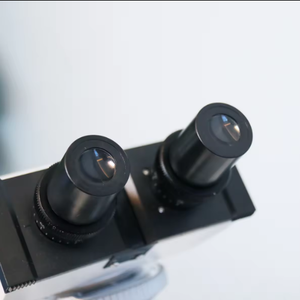 Labtex Microscopio biológico multiusos Microscopio <span class=keywords><strong>trinocular</strong></span> Mini microscopio Observación de microorganismos - Product Image 6