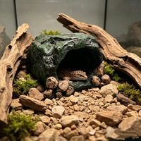 Caverne de simulation en résine pour reptiles, abri décoratif pour terrarium pour lézards, geckos, araignées, ornement d'habitat naturel