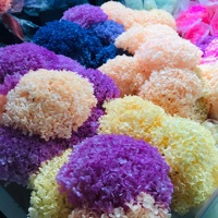 Fournitures de fleurs séchées : Tête d'hortensia véritable stabilisée, grand feuillage, couleur violette, pour la décoration intérieure