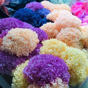 Fournitures de fleurs séchées : Tête d'<span class=keywords><strong>hortensia</strong></span> véritable stabilisée, grand feuillage, couleur violette, pour la décoration intérieure - Product Image 2