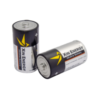 Pile alcaline XIN ENERGY 1,5 V format C LR14, garantie sans fuite, certifiée CE RoHS pour caméras de sécurité sans fil