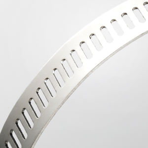 الصين المورد رباط للكابل ، 304/316 الجملة سعر المصنع عينات مجانية خرطوم المشبك/ - Product Image 3