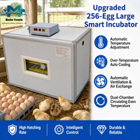 Incubadora de Aves de Corral Automática de Acero Inoxidable de Alta Capacidad para 256 Huevos, Doble Alimentación de Respaldo, Control Inteligente de Temperatura para Pollos y Patos