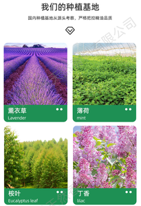 Экстракт растительного масла, масло-переносчик, масло для ухода за кожей, натуральные органические 100% холодного отжима, чистый бораго, лекарственный - Product Image 5