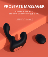 Männliches Anal-Sexspielzeug Elektrischer Prostata-Massager, Ferngesteuerter Vibrierender Prostata-Massager