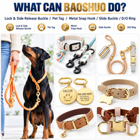 Boucle de ceinture personnalisée pour collier de chien, accessoires de fixation, anneau en D en alliage de zinc de 1 pouce, boucle à dégagement latéral dorée de 3/4 pouces